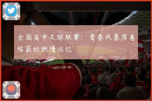 全国高中足球联赛：青春风暴席卷绿茵的燃情记忆
